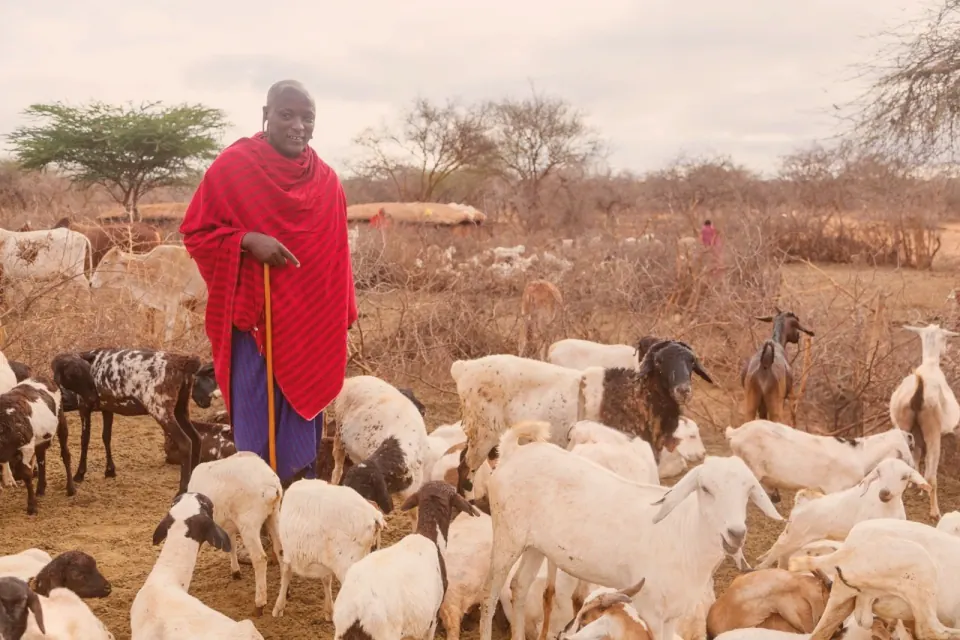 A farmer tending livestock in Kenya